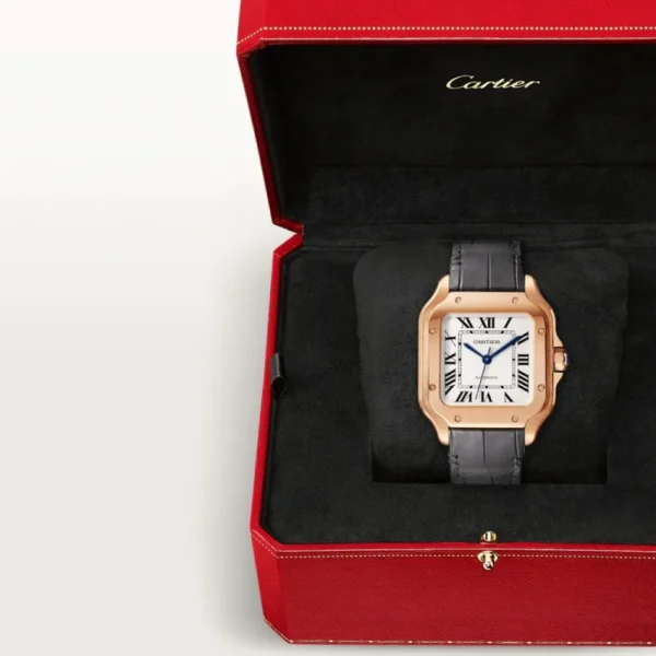 SANTOS DE CARTIER WATCH -WGSA0028 - 图片 5