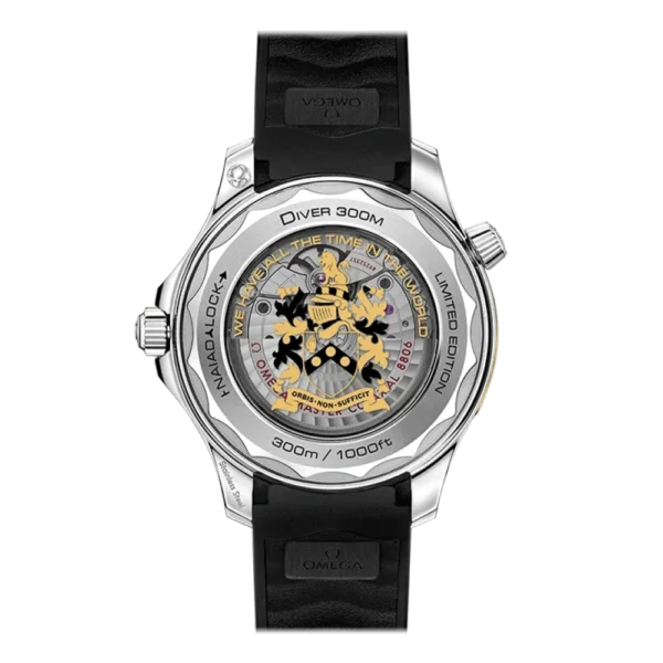 DIVER 300M CO‑AXIAL MASTER CHRONOMETER 42 MM - 图片 3