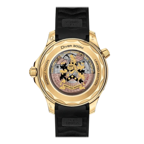 DIVER 300M CO‑AXIAL MASTER CHRONOMETER 42 MM - 图片 2